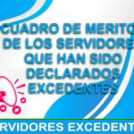 CUADRO DE MERITOS DE LOS SERVIDORES QUE HAN SIDO DECLARADOS EXCEDENTES